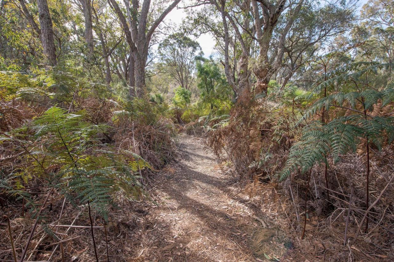 Yelverton Brook Conservation Sanctuary Metricup Екстериор снимка