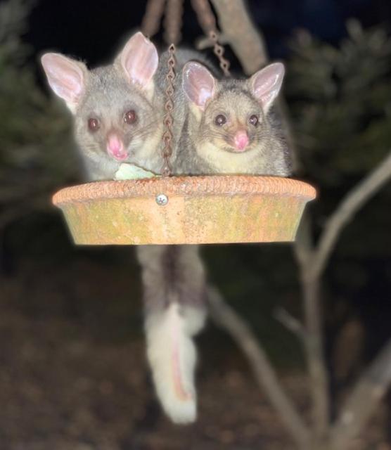 Yelverton Brook Conservation Sanctuary Metricup Екстериор снимка