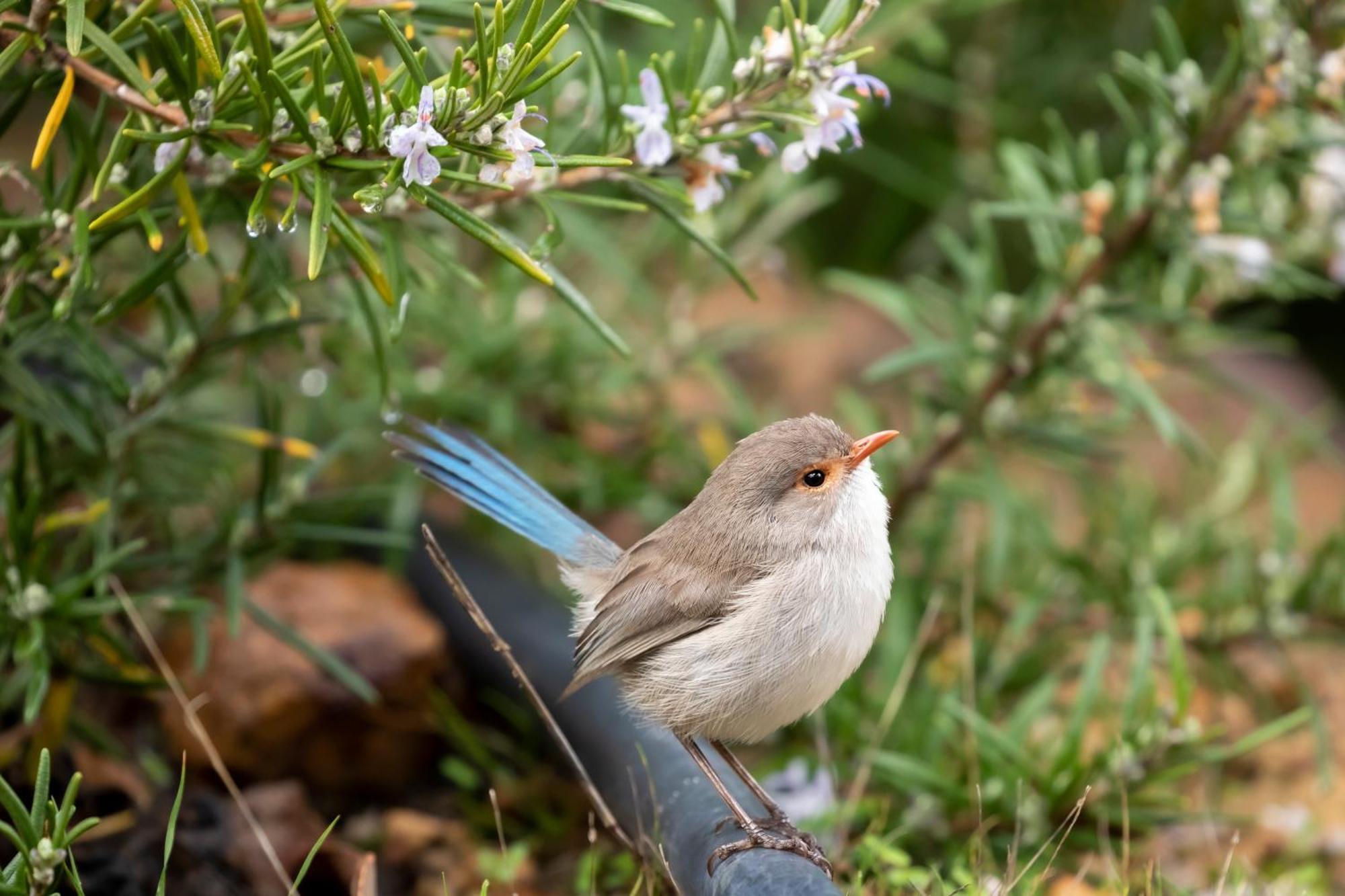 Yelverton Brook Conservation Sanctuary Metricup Екстериор снимка