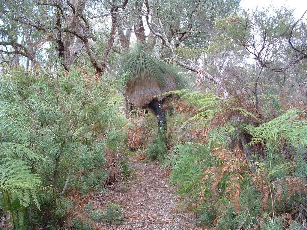 Yelverton Brook Conservation Sanctuary Metricup Екстериор снимка